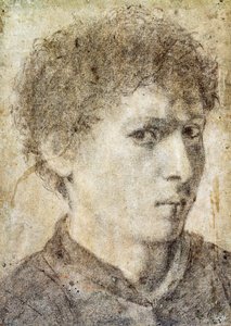 Nuoren pojan pää, piirustus Gian Girolamo Savoldo (n. 1480-1548), musta kynä ja valkoinen liitu, Italia od Giovanni Girolamo Savoldo