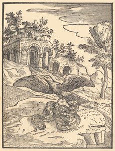 Pták a had, 1570. od Giovanni Maria Verdizotti