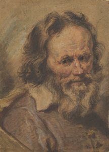 Hlava vousatého muže, 1600-1630.