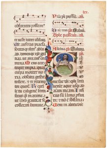 Žalmista v moři, iniciála "S" na listu z iluminovaného notovaného breviáře, Bologna nebo Ferrara, asi 1440 (tuš a barva na pergamenu) od Giovanni di Antonio da Bologna