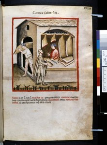 Theatrum sanitatis od Ububchasym de Baldach: "Carnes Salite Si ce", první desetiletí 14. století (miniatura) od Giovannino de