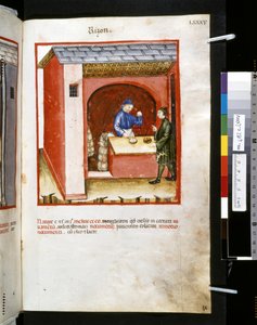 Theatrum sanitatis od Ububchasym de Baldach: "Rizon", první desetiletí 14. století (miniatura) od Giovannino de