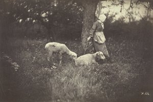 Pastýřka opřená o strom se dvěma ovcemi, 1870.