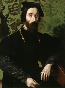 Portrét hudebníka, asi 1540 (olej na desce) od Girolamo Mazzola (attr.) Bedoli