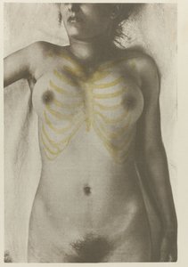Anatomické foto van een vrouwelijk lijk: 