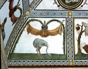 Camera con Fregio di Amorini Komnata Amora Vlys detail pštrosa, freska z roku 1520 od Giulio Romano