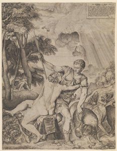 Venuše a Adonis