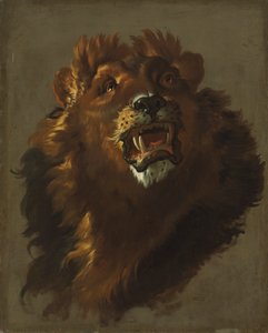 Lev