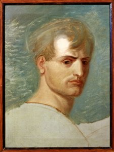 Portrét Napoleona Bonaparta (olej na plátně) od Giuseppe Bossi