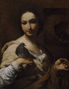 Dívka držící holubici, 1721-27