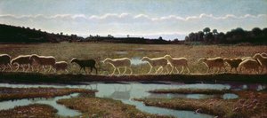 Zrcadlo života: To, co dělá První, následují Ostatní, 1895-98