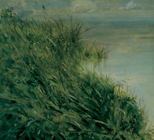 Studium bažiny od Giuseppe or Joseph de Nittis
