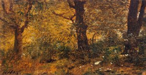 Studium dřeva od Giuseppe or Joseph de Nittis