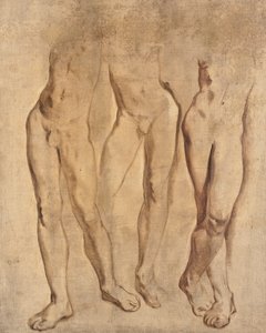 Tři studie mužského aktu, c. 1923-24 (olej na plátně)