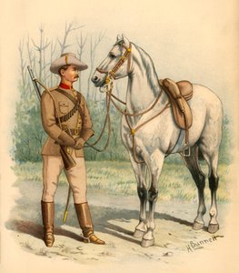 Viktoriánské pušky, 1890.