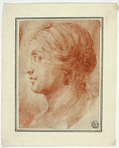 Busta ženy v profilu vlevo od Godfrey Kneller