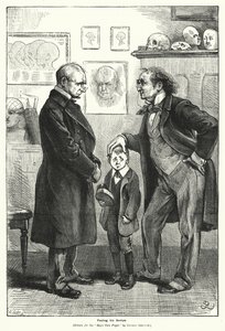 Feeling his Bumps (rytina) od Gordon Frederick (after) Browne