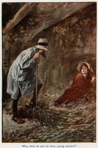Ilustrace pro Adama Bedeho od Gordon Frederick Browne