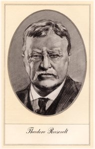 Theodore Roosevelt, 26. prezident Spojených států, počátek 20. století.