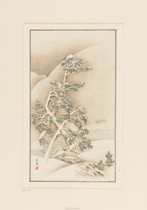 Woodblock print-Stromy ve sněhu od Goshua