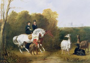 Queen Victoria (1819-1901) a Prince Albert (1819-61) Viewing the Llamas in the House Park, Windsor, c.1845