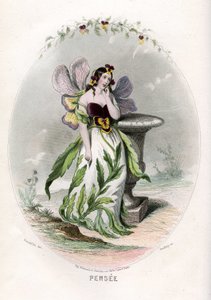 Ilustrace pro 
