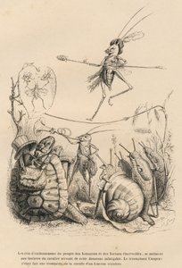 Saranče hrající na trubku před želvou, šnekem a slimáky. Nad ním po drátě kráčí další vyvážená kobylka. Viněty ilustroval JJ Granville. Rytina podepsána Godardem v části nazvané „Dobrodružství motýla od Grandville