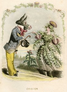 Ilustrace pro 
