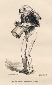 Zbabělý Lievre v dandy kostýmu. Viněty ilustroval JJ Granville. Rytina signovaná Breviere v části "Historie zajíce" od PJ Stahla ve "Scénách ze soukromého a veřejného života zvířat". Paris, J. Hetzel a Paulin od Grandville