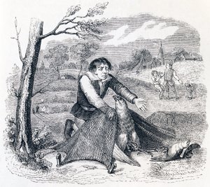 The Birdcatcher, Goshawk a Lark - Bajky od La Fontaina od Grandville