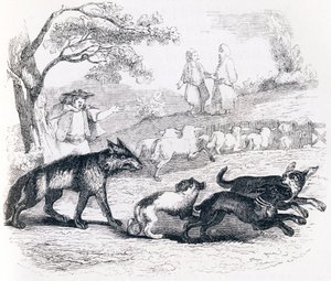 Bassa a obchodník - Bajky od La Fontaina od Grandville