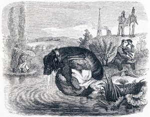 Pes, který se vzdává své kořisti pro stín - Fables od La Fontaine od Grandville