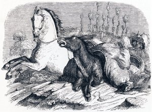 Kůň a osel - Bajky od La Fontaina od Grandville