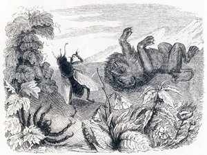 Lev a střed - Bajky od La Fontaina od Grandville