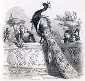 Páv si stěžuje Juno - Bajky od La Fontaine od Grandville