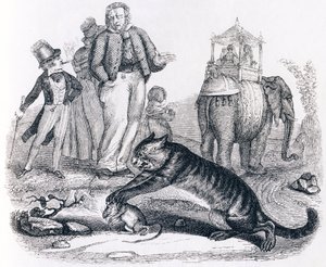 Krysa a slon (le rat et l