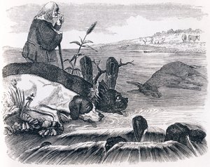 Dva psi a mrtvý osel - Fables od La Fontaine od Grandville