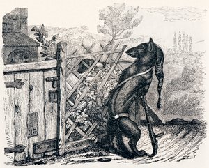 Vlk a hubený pes - Bajky od La Fontaine od Grandville