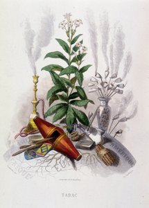Rostlina tabáku a kuřácké náčiní - v "" Animované květiny"" od Grandville od Grandville