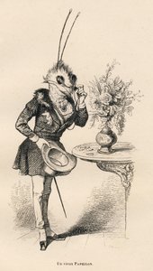 Starý motýl, který se dívá na čas svými brýlemi. Miniatury ilustroval JJ Granville. Rytina podepsána Brevierem v části nazvané "Příhody motýla", kterou napsal PJ Stahl ve "Scénách ze soukromého a veřejného života zvířat". Paříž, J. od Grandville
