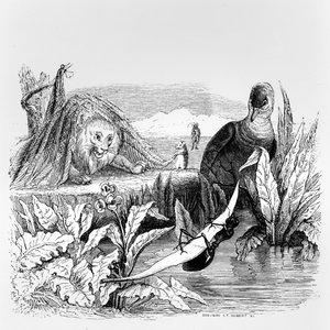 Holubice a mravenec a lev a krysa, ilustrace k 