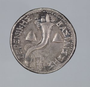 Stříbrná Didrachma Berenice II (stříbrná) (viz také 293751) od Greek
