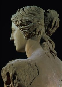 Venus de Milo, detail zadní části hlavy, helénistické období, cca 100 př. nl mramor pro čelní pohled viz 14152