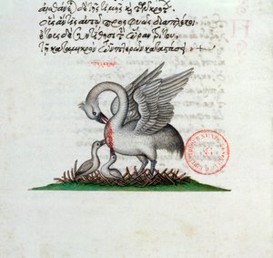 Paní 3401 Pelikán si propíchá prsa, aby nakrmil mláďata, z Bestiáře od Manuela Philese, 1566 od Greek School