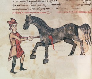Ms Grec 2244 fol.37v Operace na koni od Greek School