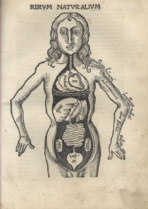 Margarita Filosofická Anatomie, 1504