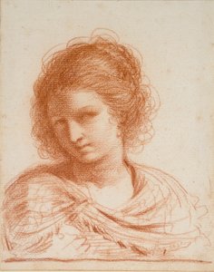 Hlava mladé ženy, 1550-1666 od Guercino