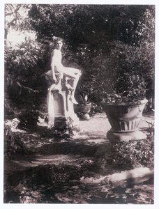 Fotograf (foto)