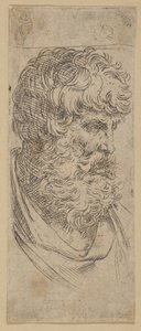 Busta vousatého muže, ca. 1600-1640. od Guido Reni