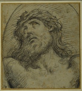 Hlava a ramena živého Krista ukřižovaného (černá křída na carta azzurra) od Guido Reni